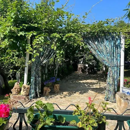 Casa A Boga Ribeira Sacra Villa Abeleda Exterior photo