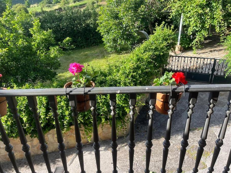 Casa A Boga Ribeira Sacra Abeleda