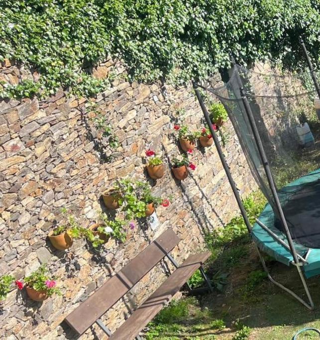 Casa A Boga Ribeira Sacra Abeleda