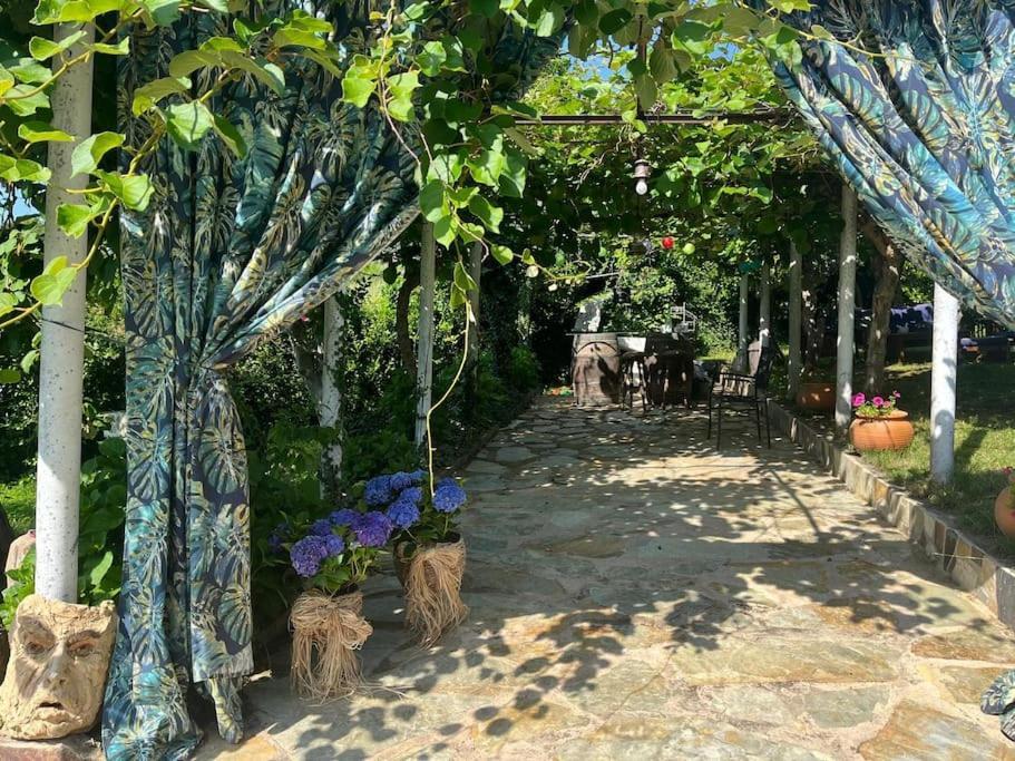 Casa A Boga Ribeira Sacra
